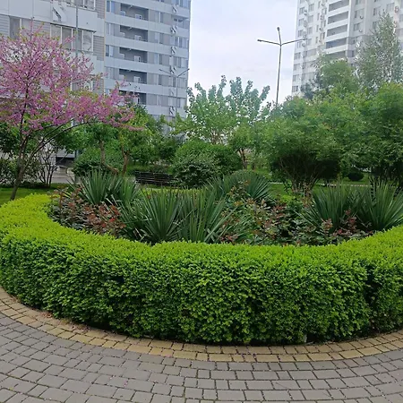 Appartement люкс в 